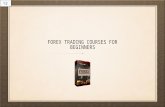 Forex trading courses for beginners