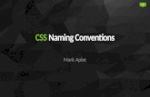 Css naming conventions