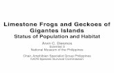Limestone Frogs and Geckoes of Gigantes Islands: Status of Population and Habitat
