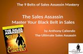 9 Belts of Sales Assassin Mastery