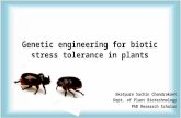 Genetic engineering for biotic stress tolerance