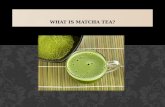 What is Matcha Tea?