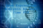 Gene Expression Analysis by Real Time PCR