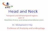 Temporal and  infratemporal region  part 4
