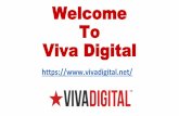 Website Design on the Sunshine Coast - Viva Digital