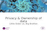 Privacy & Ownership of Data - Little Sister vs. Big Brother