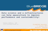 Data Science and e-infrastructures can help Aquaculture to improve performance and sustainability