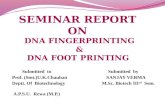 DNA fingerprinting & DNA footprinting