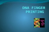 Dna finger printing