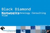 Black diamond corporate (1) lcp v2