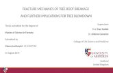 Fracture mechanics of tree root breakage