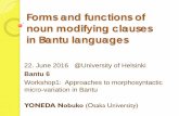 Forms and functions of noun-modifying classes in Bantu languages
