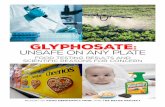 Report. Glyphosate: Unsafe on Any Plate