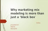 Market mix modelling