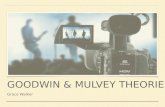 Goodwin & Mulvey Theories