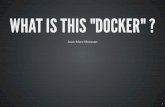 What is this  "docker"