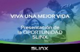 5LINX United States of America Opportunity Presentation (Spanish)