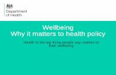 U.K. Government Wellbeing Why it Matters to Health Policy