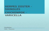 HERPES ZOSTER - SHINGLES , CHICKENPOX - VARICELLA