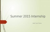 Summer 2015 Internship