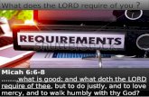 What Does The LORD Require of You ?