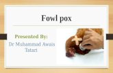 Fowl pox and treatment