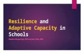 Resilient and Adaptive Schools