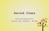 Meeting10 social class