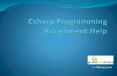 Csharp programming assignment help