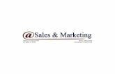@Sales & Marketing Overview LV17-1