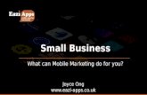 Small Business: What can Mobile Marketing do for you?