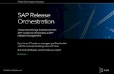 SAP Release Orchestration - Delivering change at pace