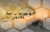 Home Learning Challenge - How to rescue a bumble bee
