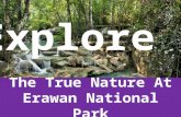 Explore the True Nature at Erawan National Park