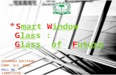 Smart window glass