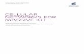 White Paper: Cellular networks for Massive IoT – enabling low power wide area applications