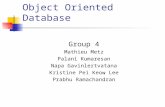 Object Oriented Database Presentation
