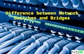 Difference between Network Switches and Bridges