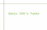 Basic ceo's tasks for small group