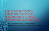 Radiation Protection: Radiation Toxicology: neuraminidase enzymes, neuraminidase inhibitors.