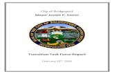 Ganim Transition Task Force Report