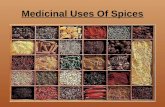Medicinal uses of spices