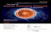 The Role of Ocular Perfusion Pressure in Glaucoma