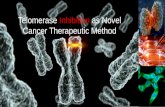 Telomerase Inhibition as Novel Cancer Therapeutic Method