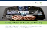 Perspectives on Sales Leadership - The sales Leadership / Management Dilemma