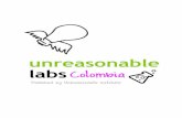 Reporte final - Unreasonable Labs Colomba 2016