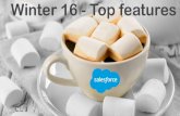Salesforce winter 16 release