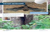 Waikato Expressway Virtual Tour: The Bat Detectors