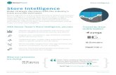 One-Pager: Store Intelligence