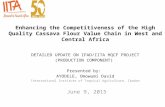 Enhancing the Competitiveness of the High Quality Cassava Flour Value Chain in West and Central Africa
